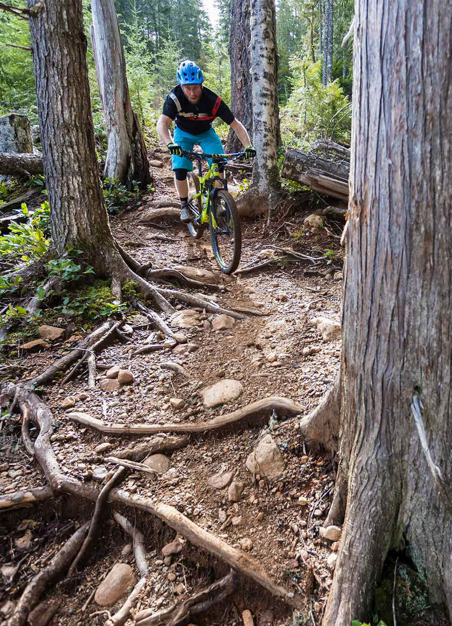 Forest Mountainbike