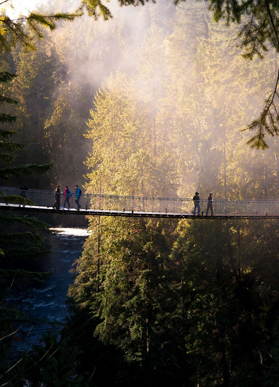 Suspension bridge