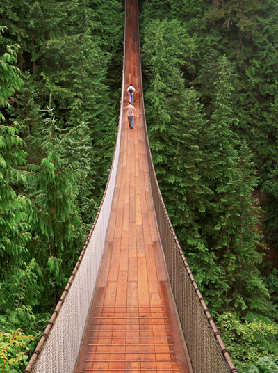 Suspension bridge