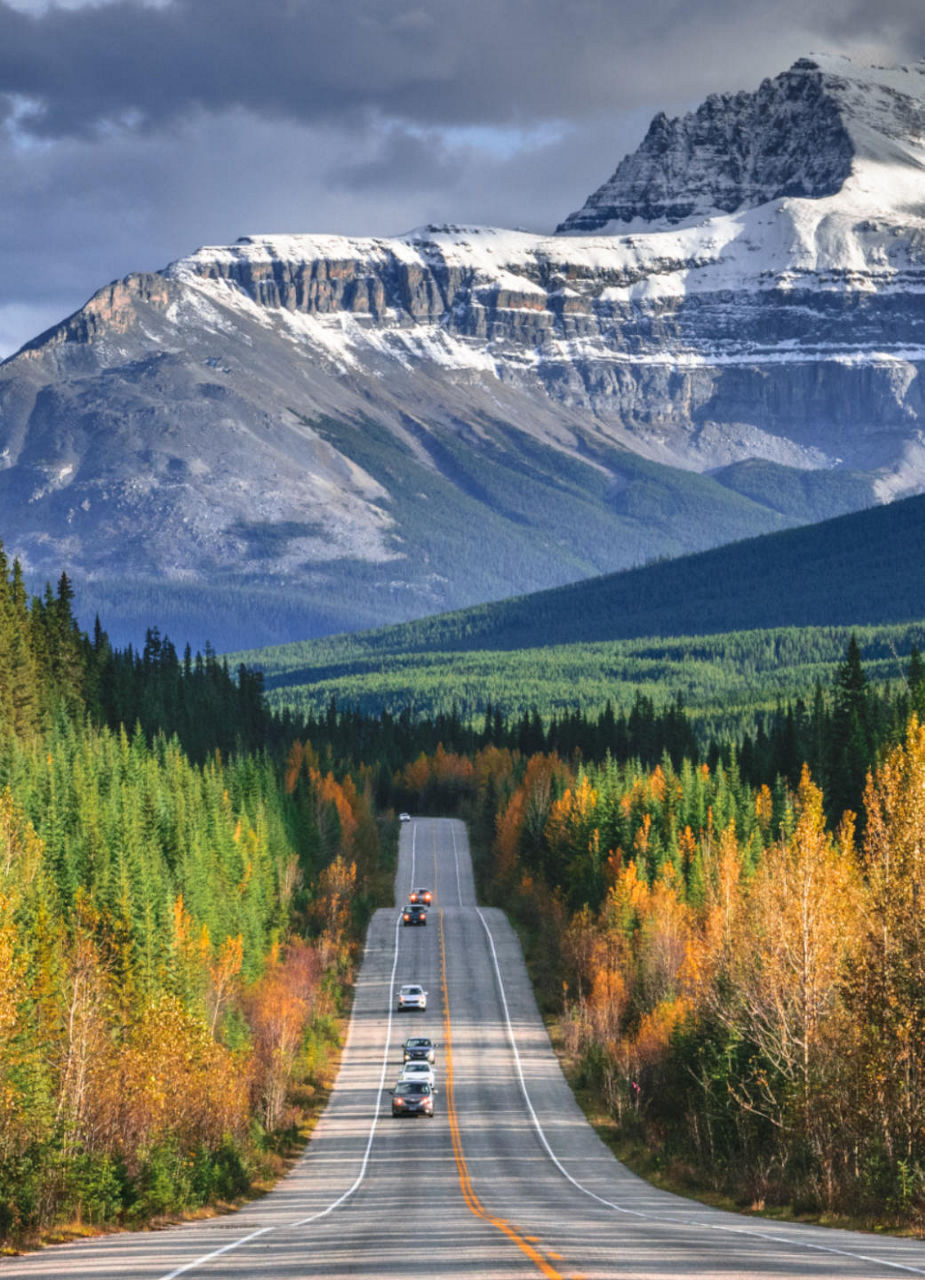 Strasse, die durch den Wald in Kanada in die Berge führt
