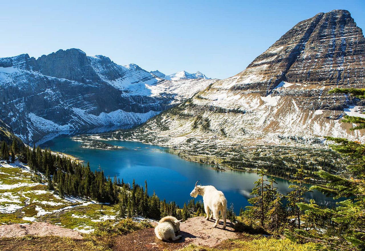 Glacier Nationalpark