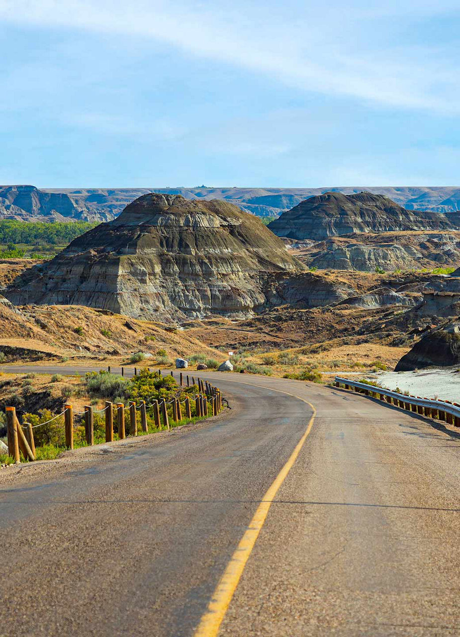Dinosaur Provincial Park