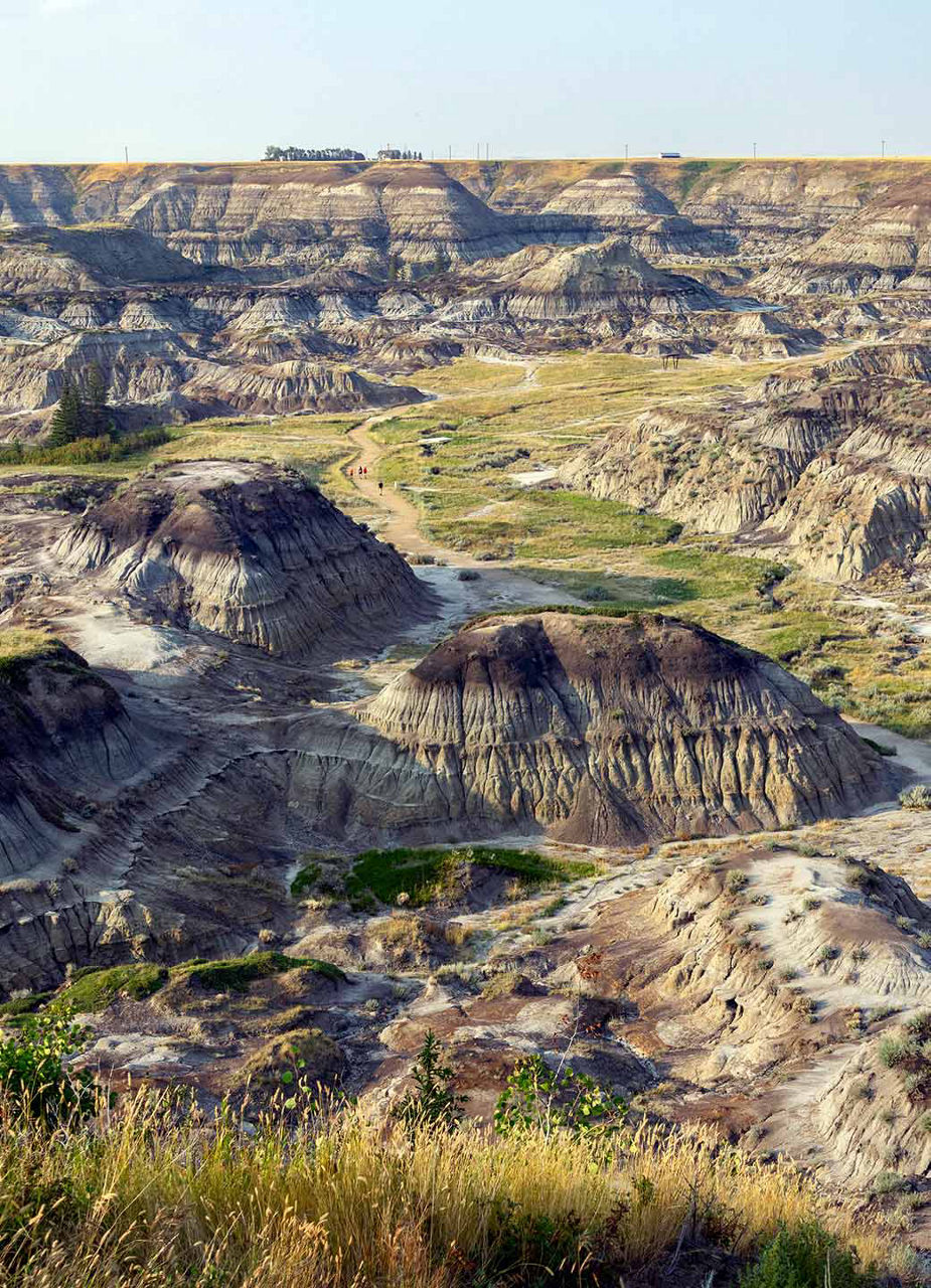 Horseshoe Canyon, Alberta