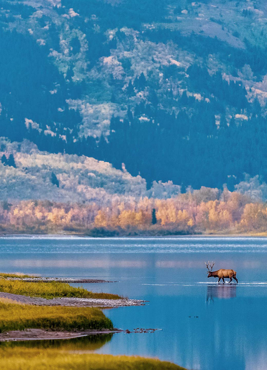 Waterton-Nationalpark in Alberta