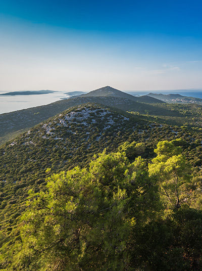 Vue sur Ugljan depuis la forteresse Sv. Mihovil