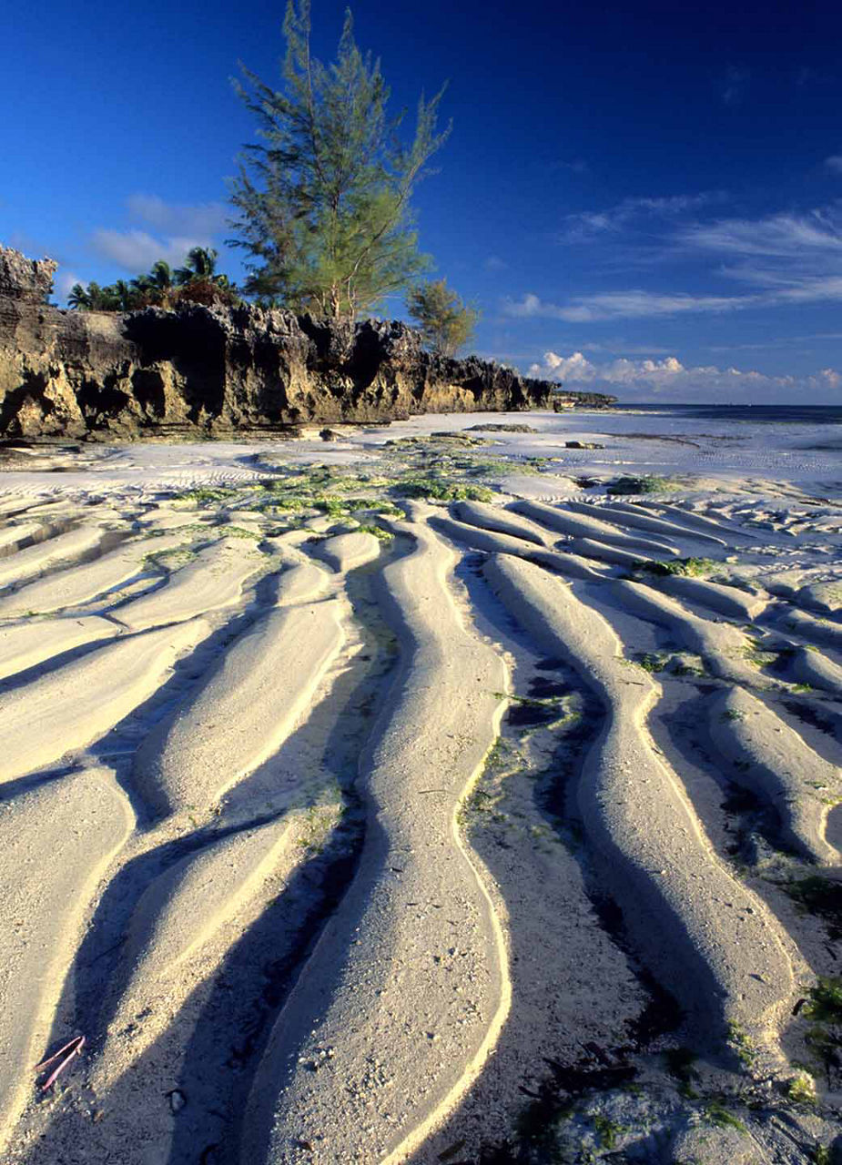 Ebbe an Sansibars unberührtem Strand Matemwe Beach​