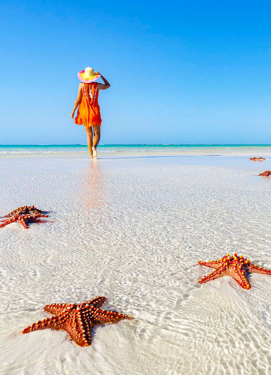 Seesterne am Nungwi-Strand Sansibars