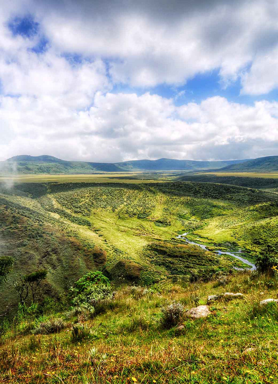 Der bewachsene Ngorongoro-Krater – von Sansibar aus für eine Safari leicht zu erreichen