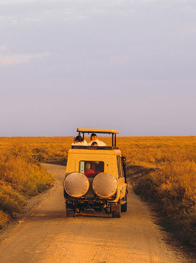 Abendliche Pirschfahrt im Tarangire-Nationalpark
