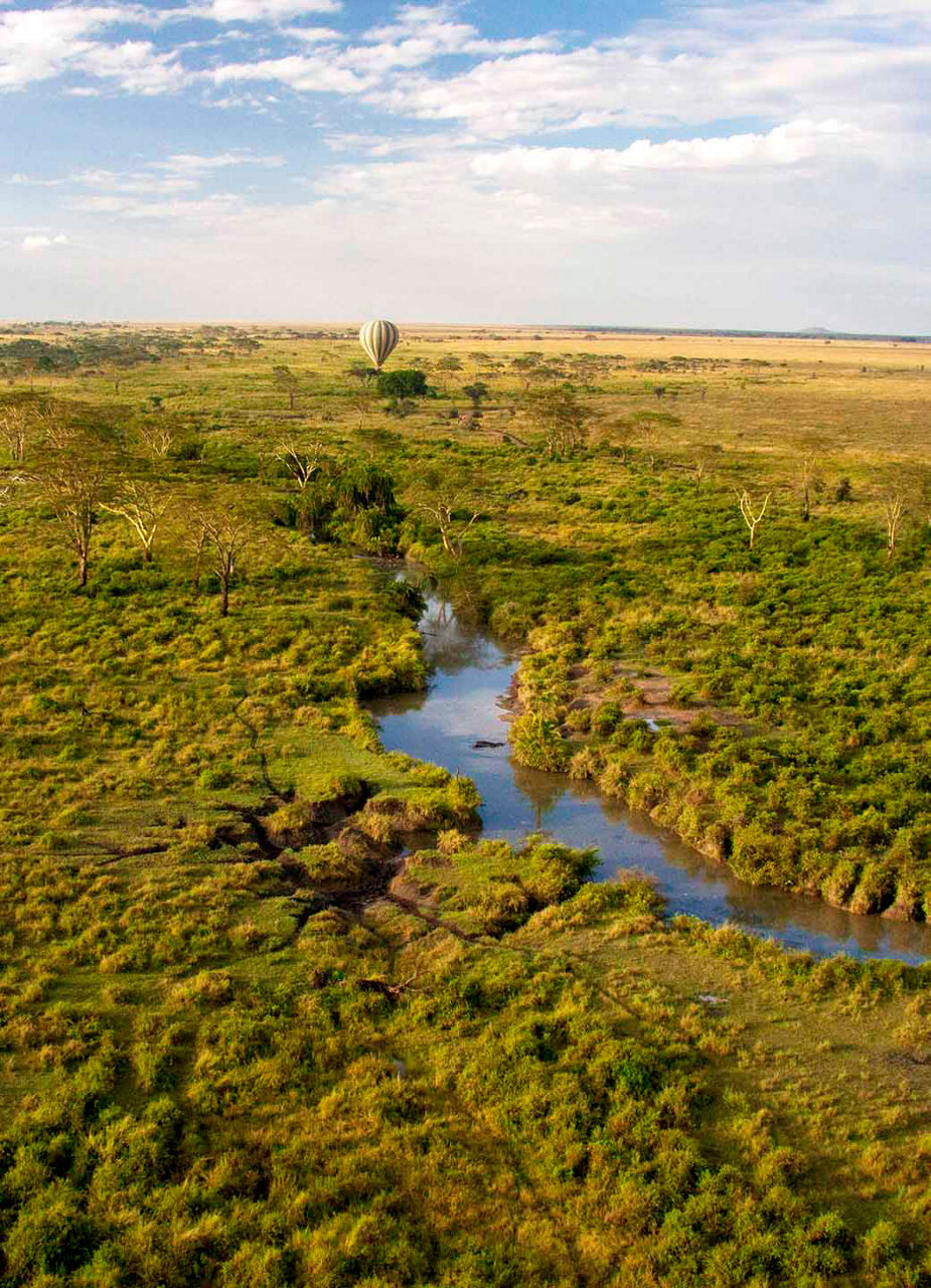 Safari-Ausblick über Tansanias Serengeti-Nationalpark