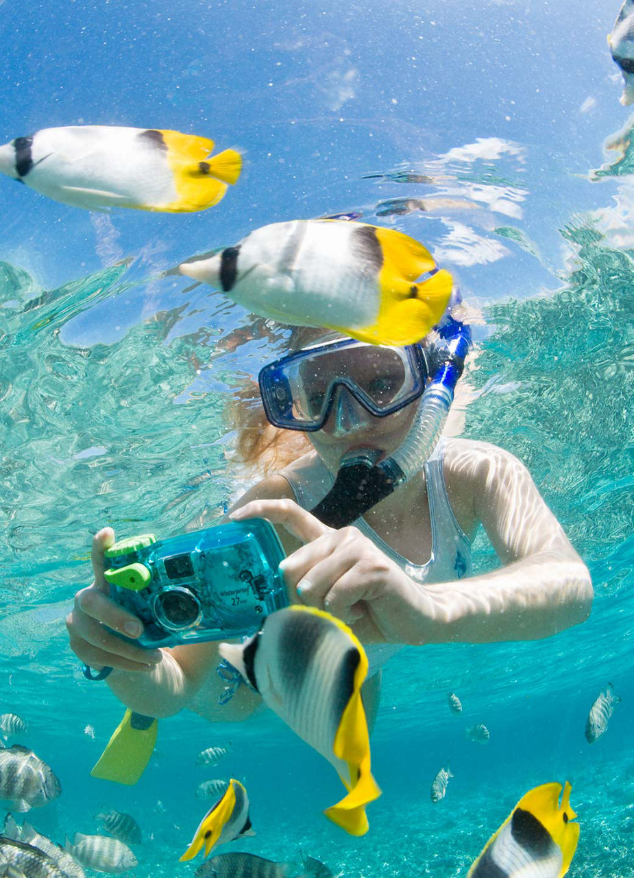 Enfant photographiant des poissons sous l’eau