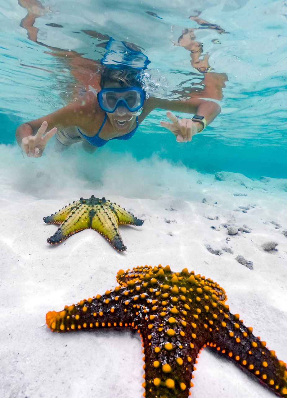 Étoiles de mer et plongeuse en tuba au large de la côte Est de Zanzibar.